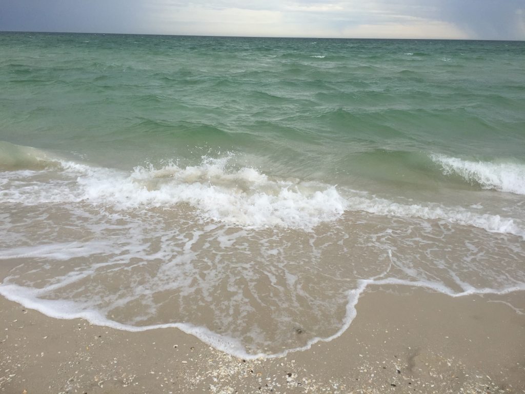 Waves on our backyard beach