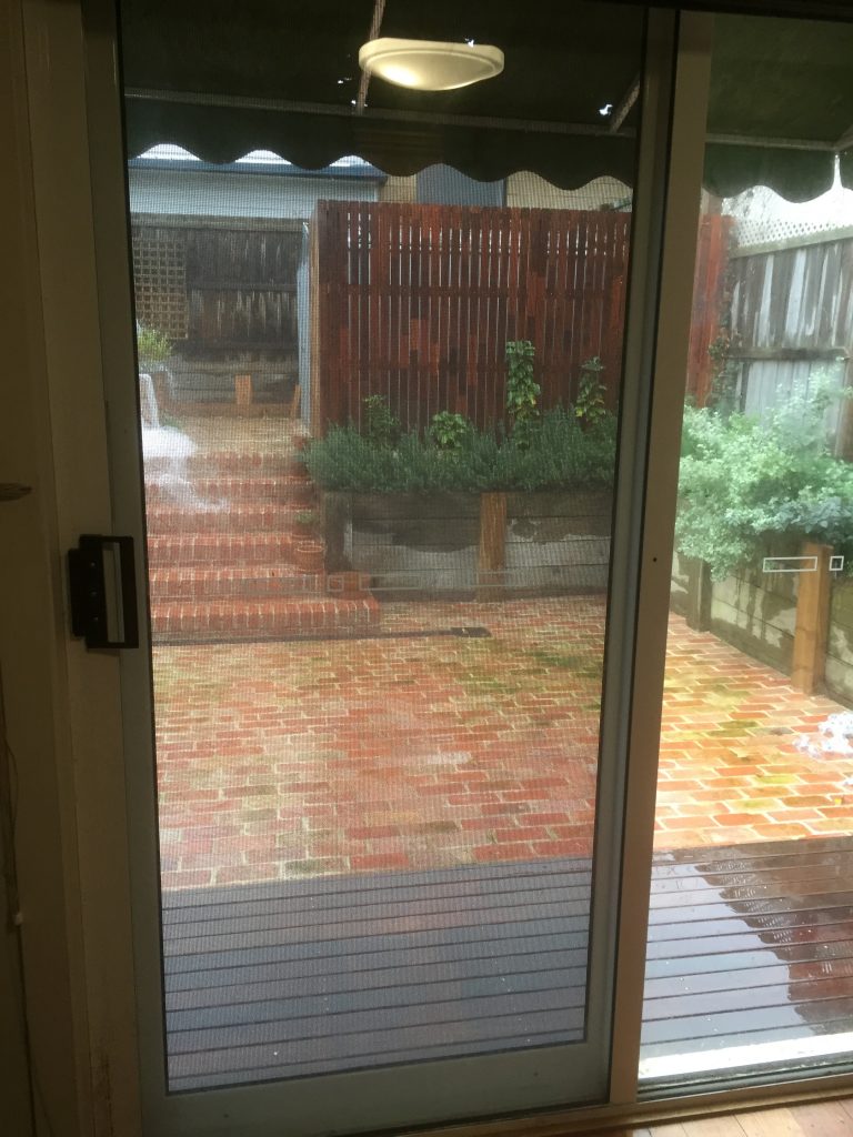 Looking out through our new back door.