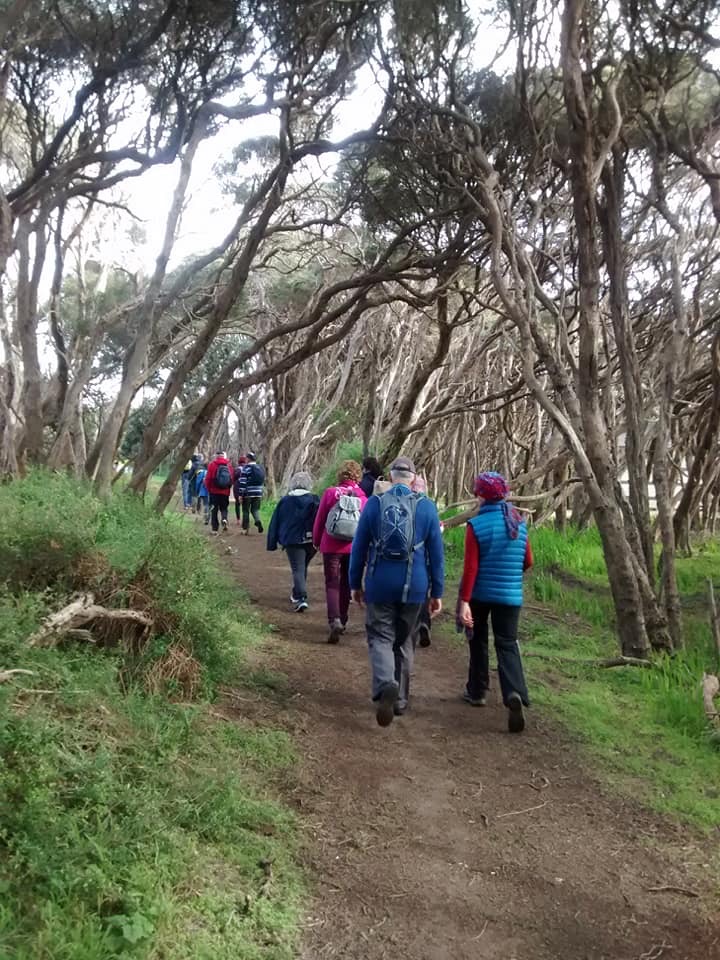 Walking group heading off into the bush.