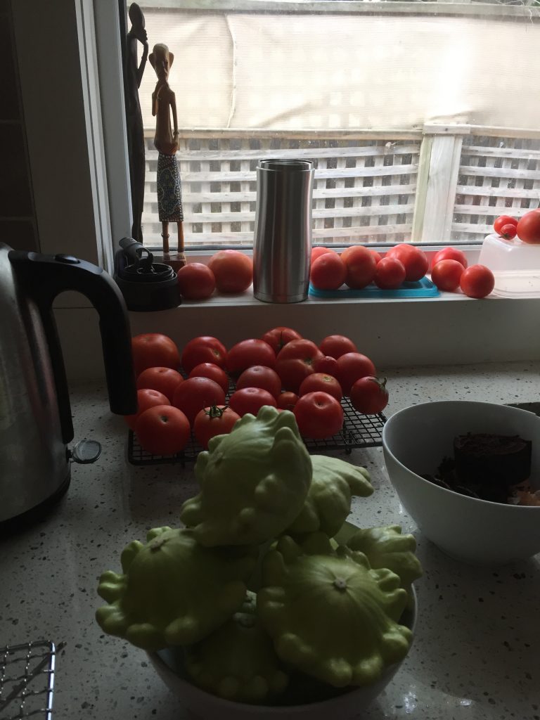 Tomatoes and squash in the kitchen.