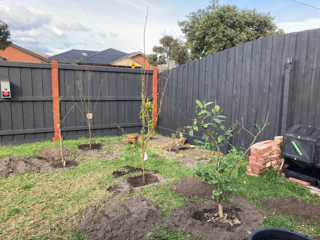 Fruit trees in the front lawn.