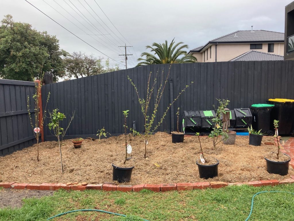 Mulched garden bed with trees.