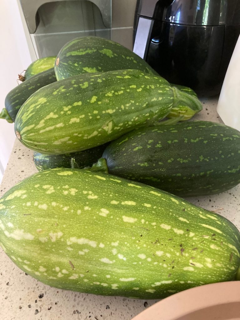 8 plump zucchini.