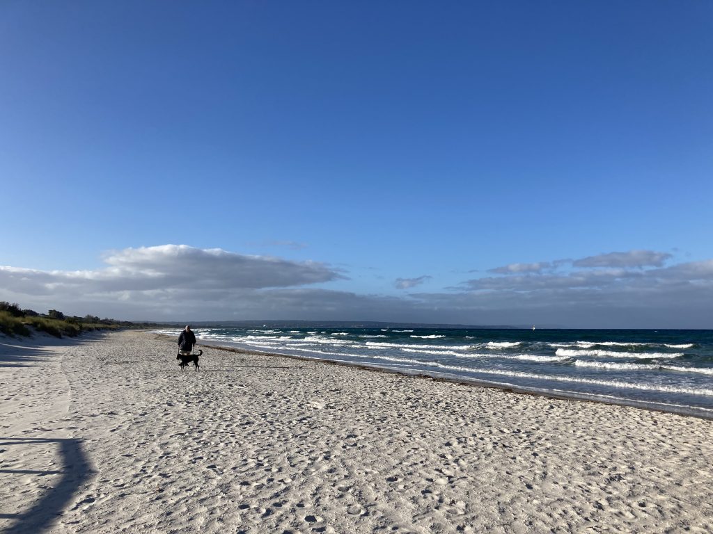 Just one other person and his dog on our beach this morning.