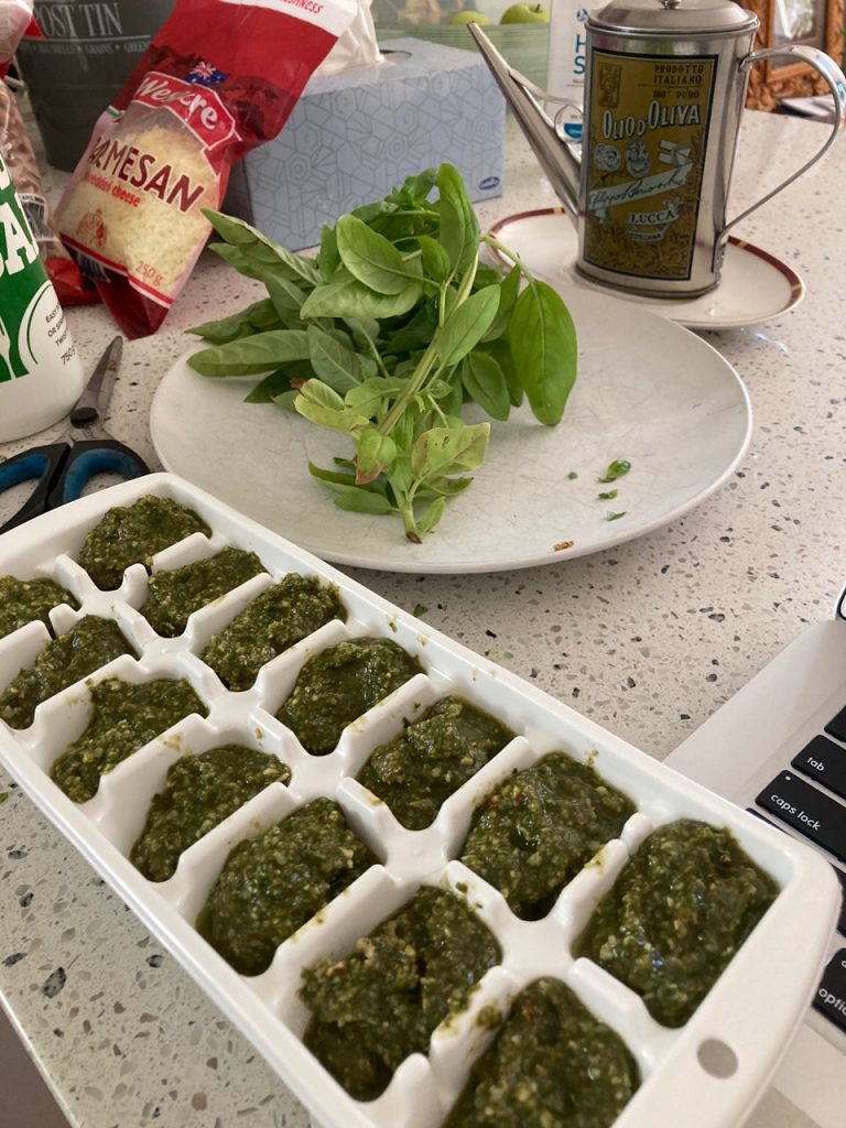 Home-made pesto in iceblocks ready to be frozen.