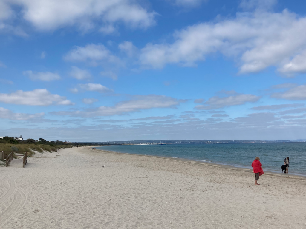 Today's beach walk.