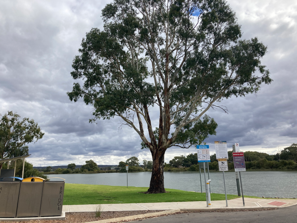 Murray River. 