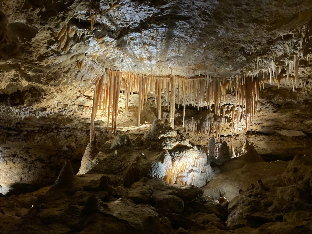 Stalactites in a row.