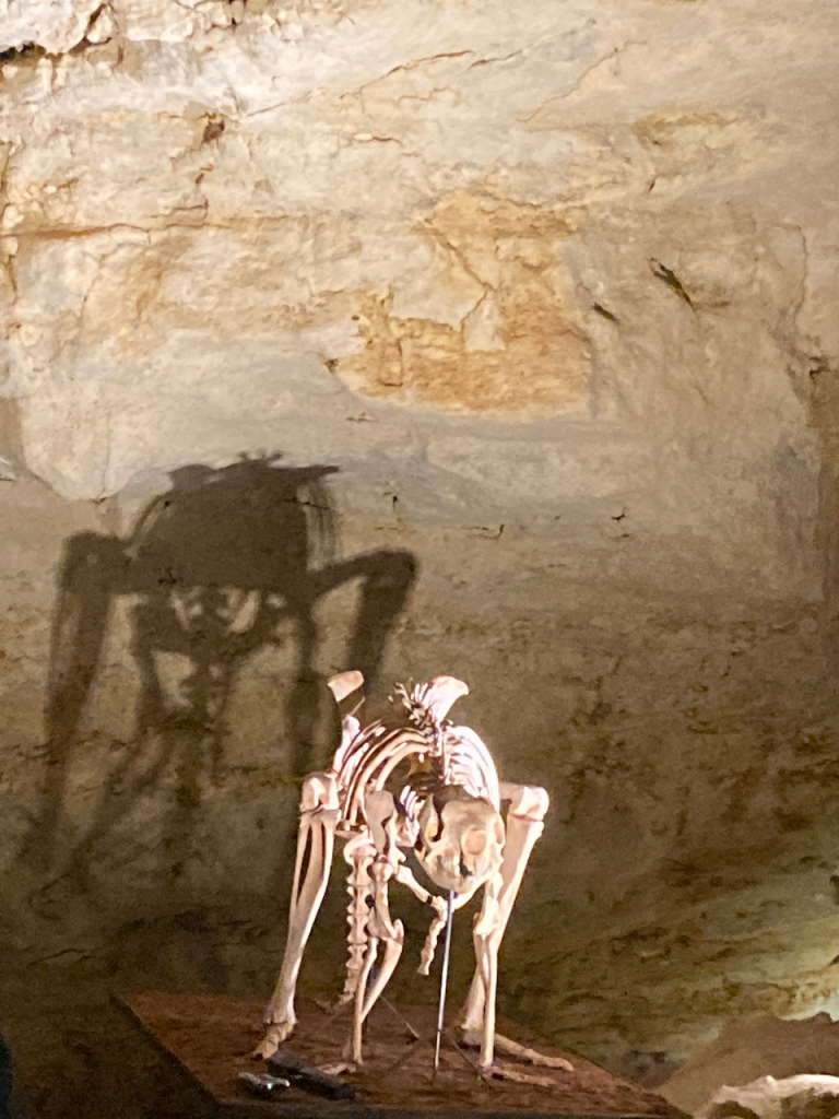 Shadow on the cave wall.