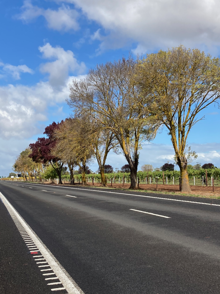 Country road.