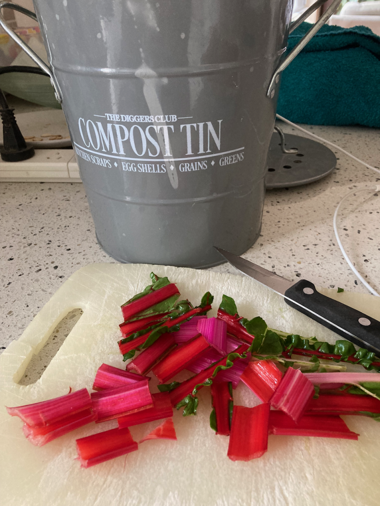 Chopped up red stalks in front of a grey compost tin.