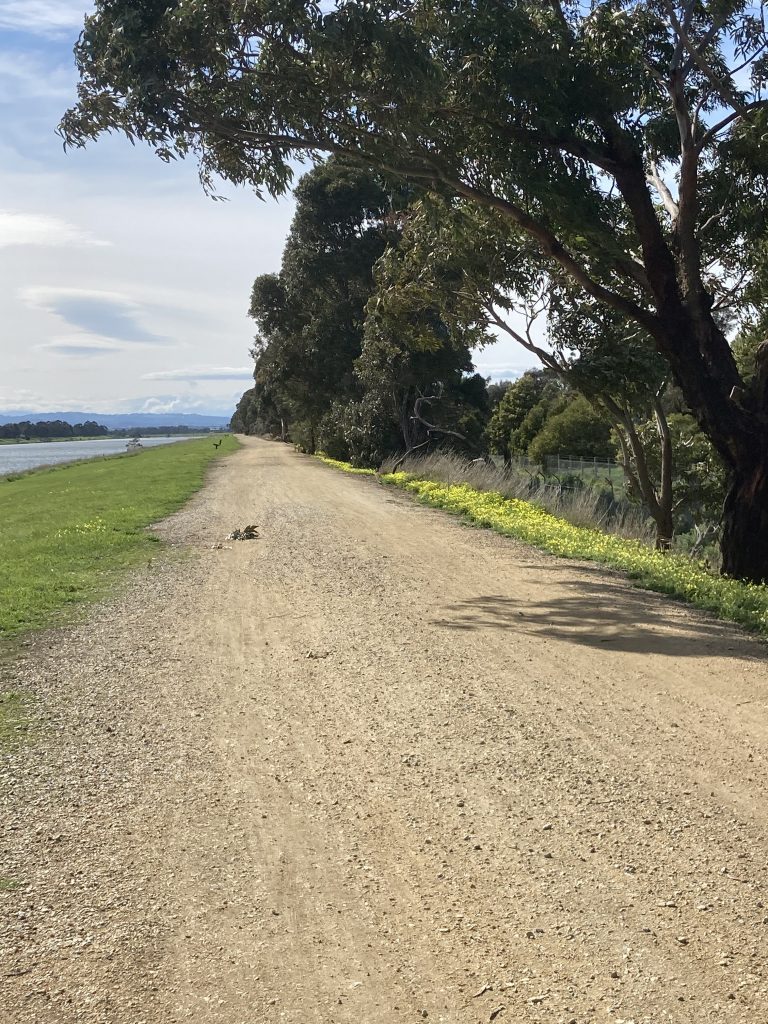 Deserted gravel path.