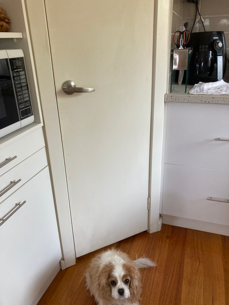 Pantry door with Poppy.