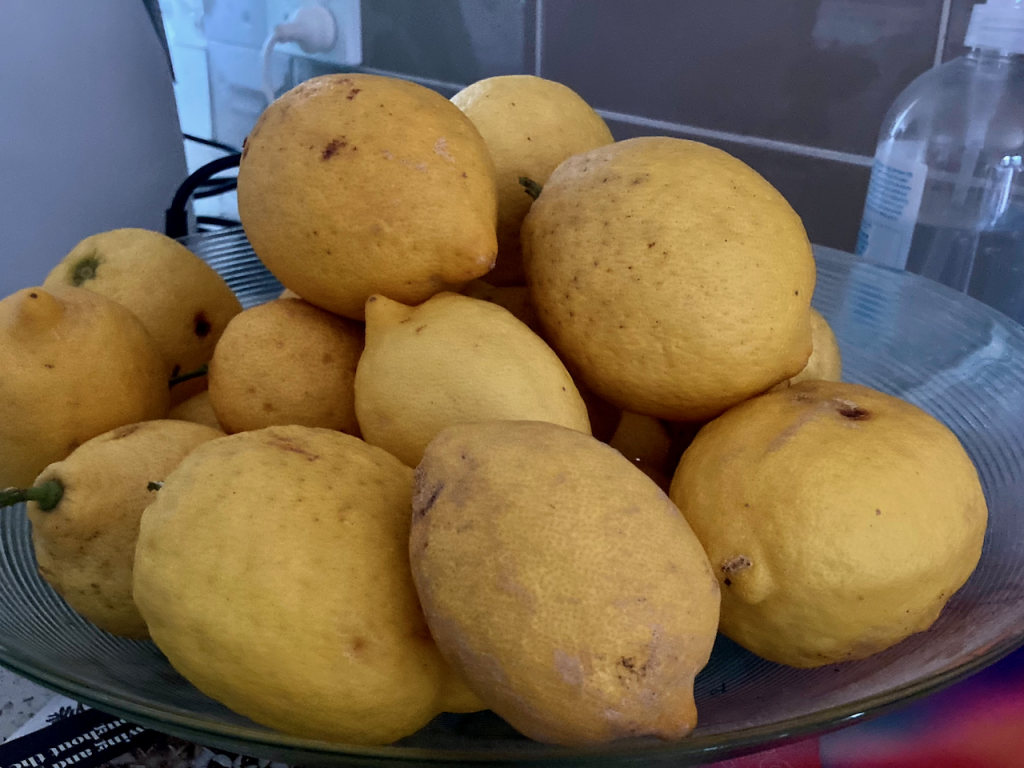 Lemons in a bowl.