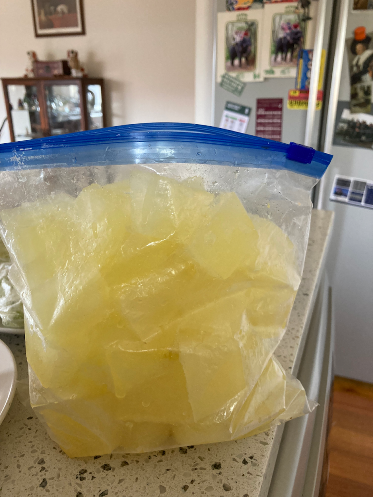Lemon juice cubes in a bag. Very exciting.