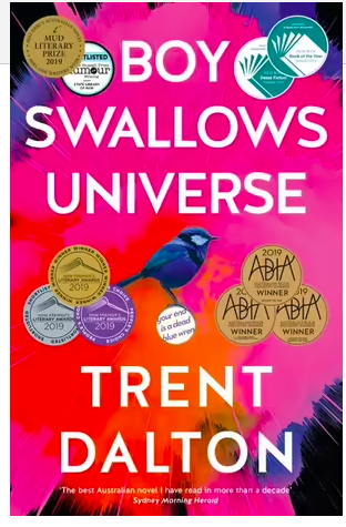 Cover of Boy Swallows Universe.