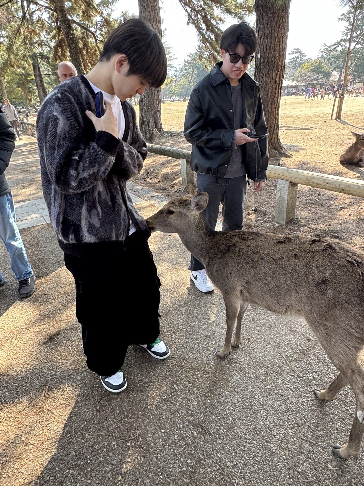 Japan Day 11: Nara Park and the deer. - Burning Desire For FIRE